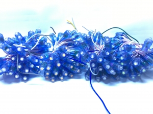 F8/12 HHX ĐƠN SẮC